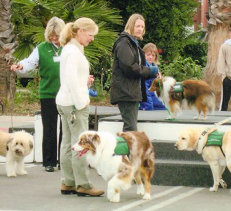 AHF Pet Partners at Phoenix House in 2009. AHF Pet Partners at Phoenix House in 2009.