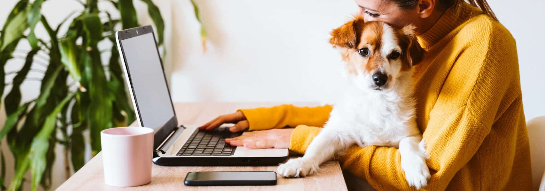 Dog in front of laptop