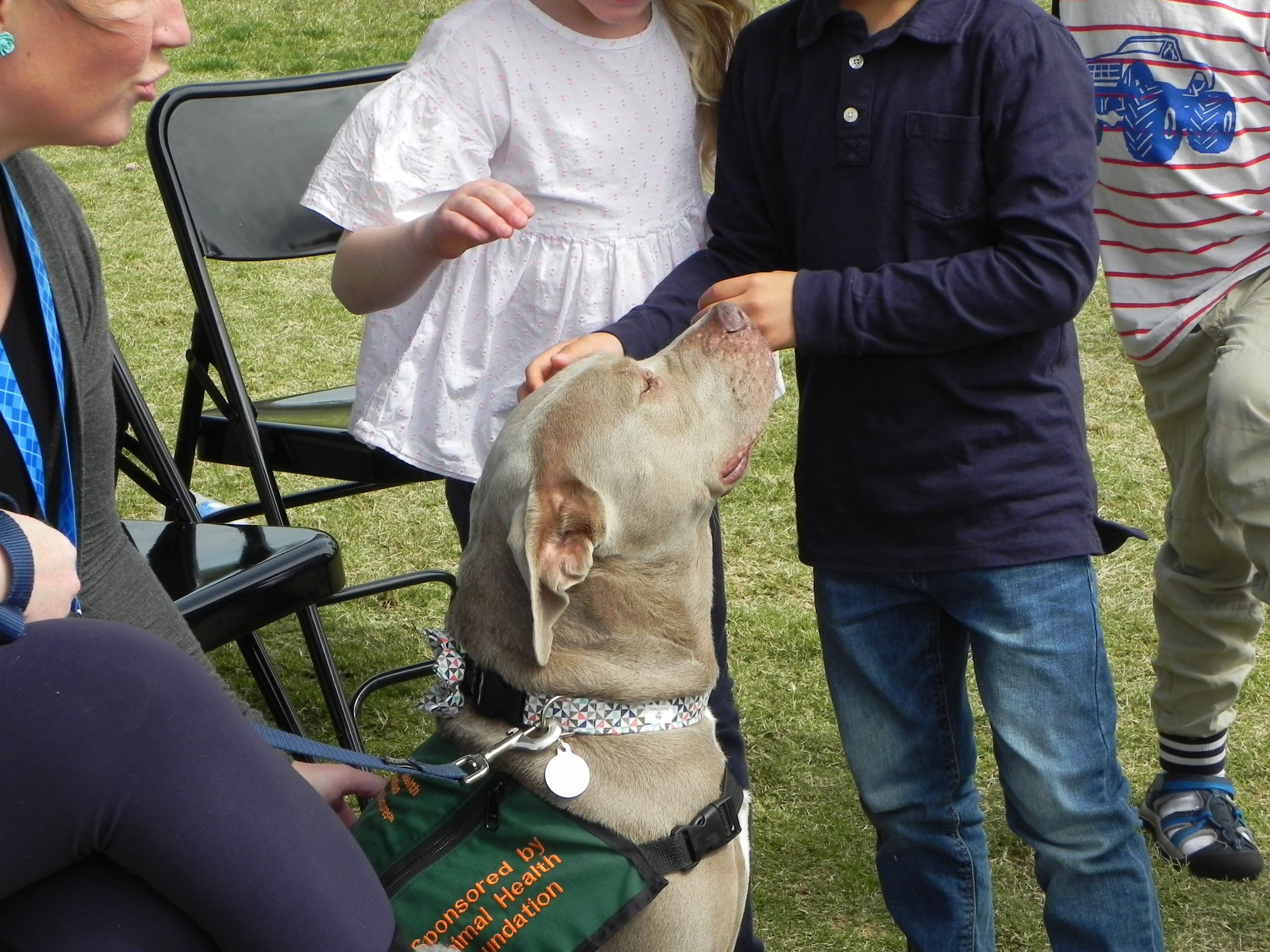 AHF Therapy Dogs help kids during school exams relieve stress | The ...