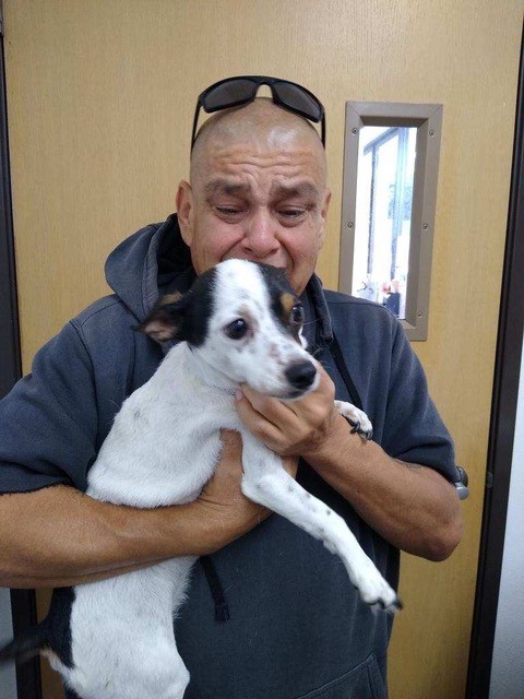 Owner Gives Up Pet to SPCA; Angel Fund Comes to Rescue