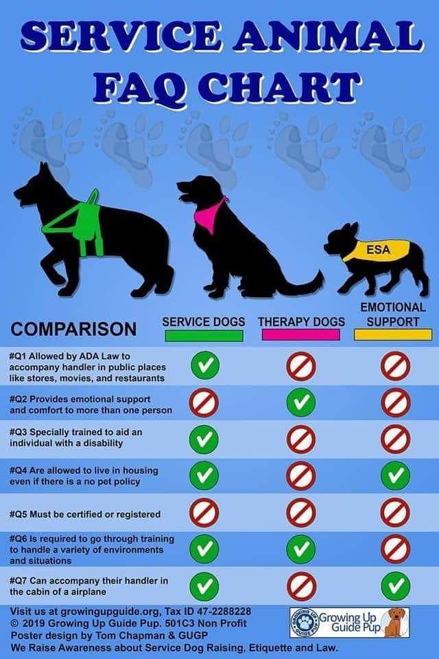  The Animal Health Foundation