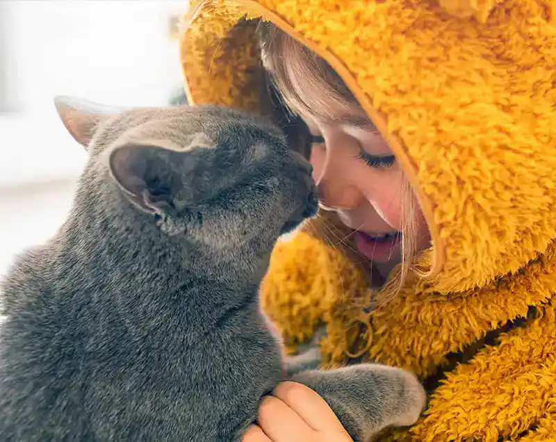 A cat with their kid