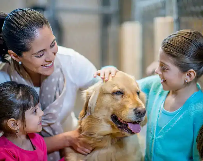 A family with their golden retriever