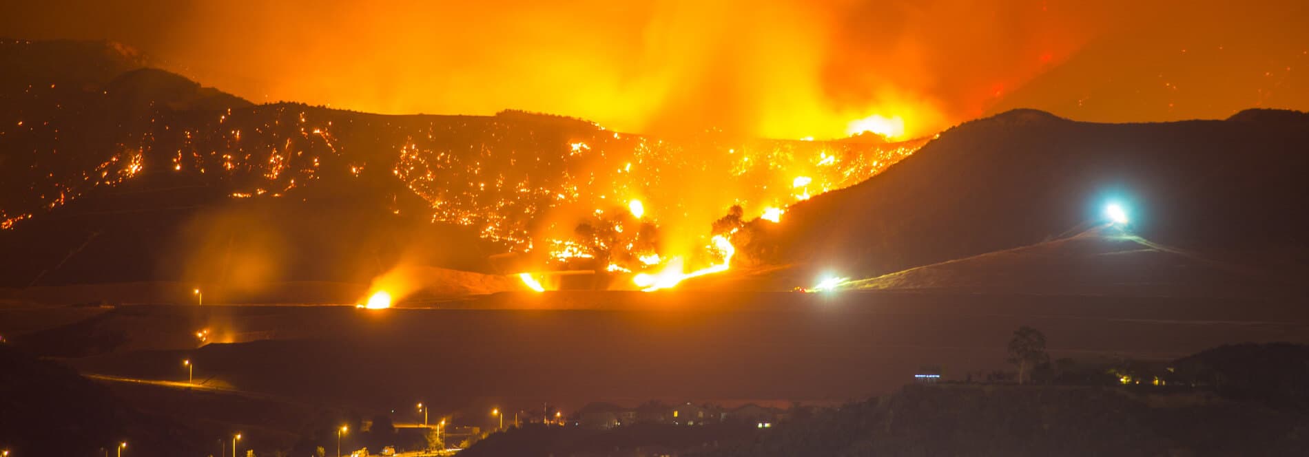 Forest Fire