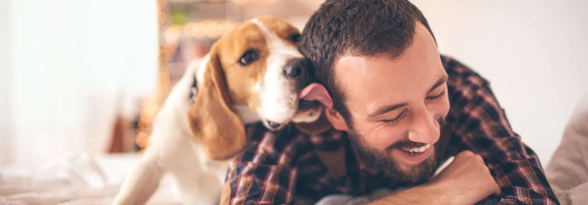 Dog licking mans head
