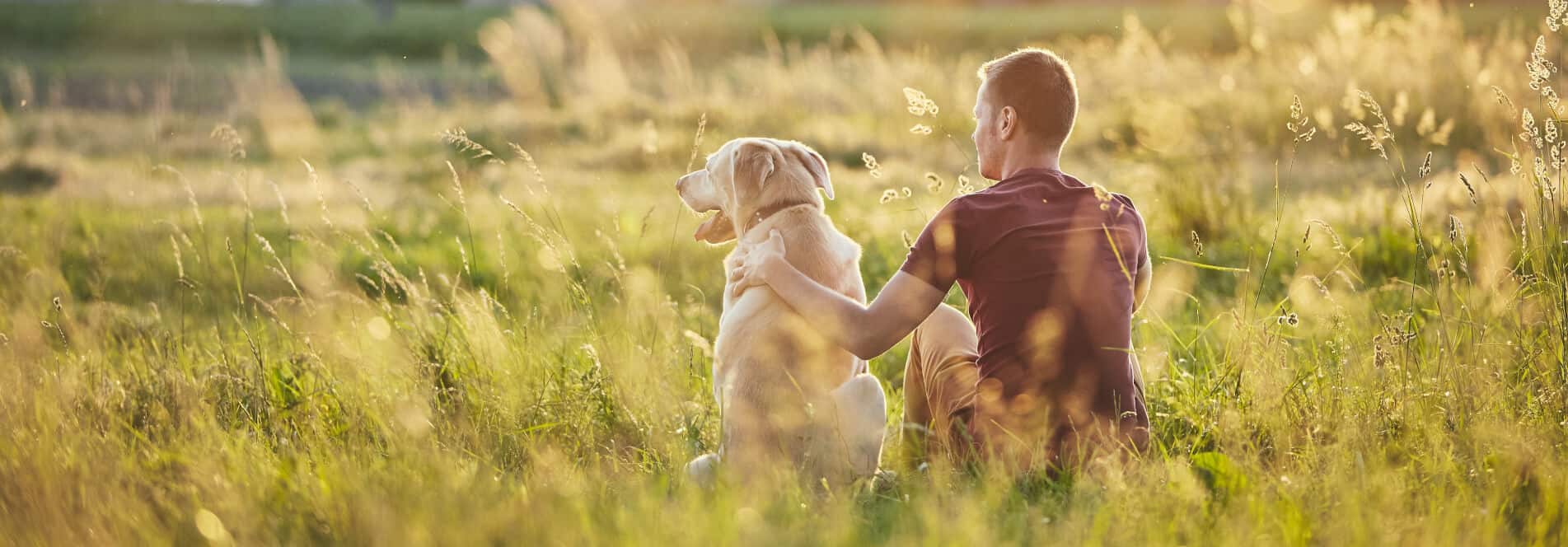 Man with dog in a field
