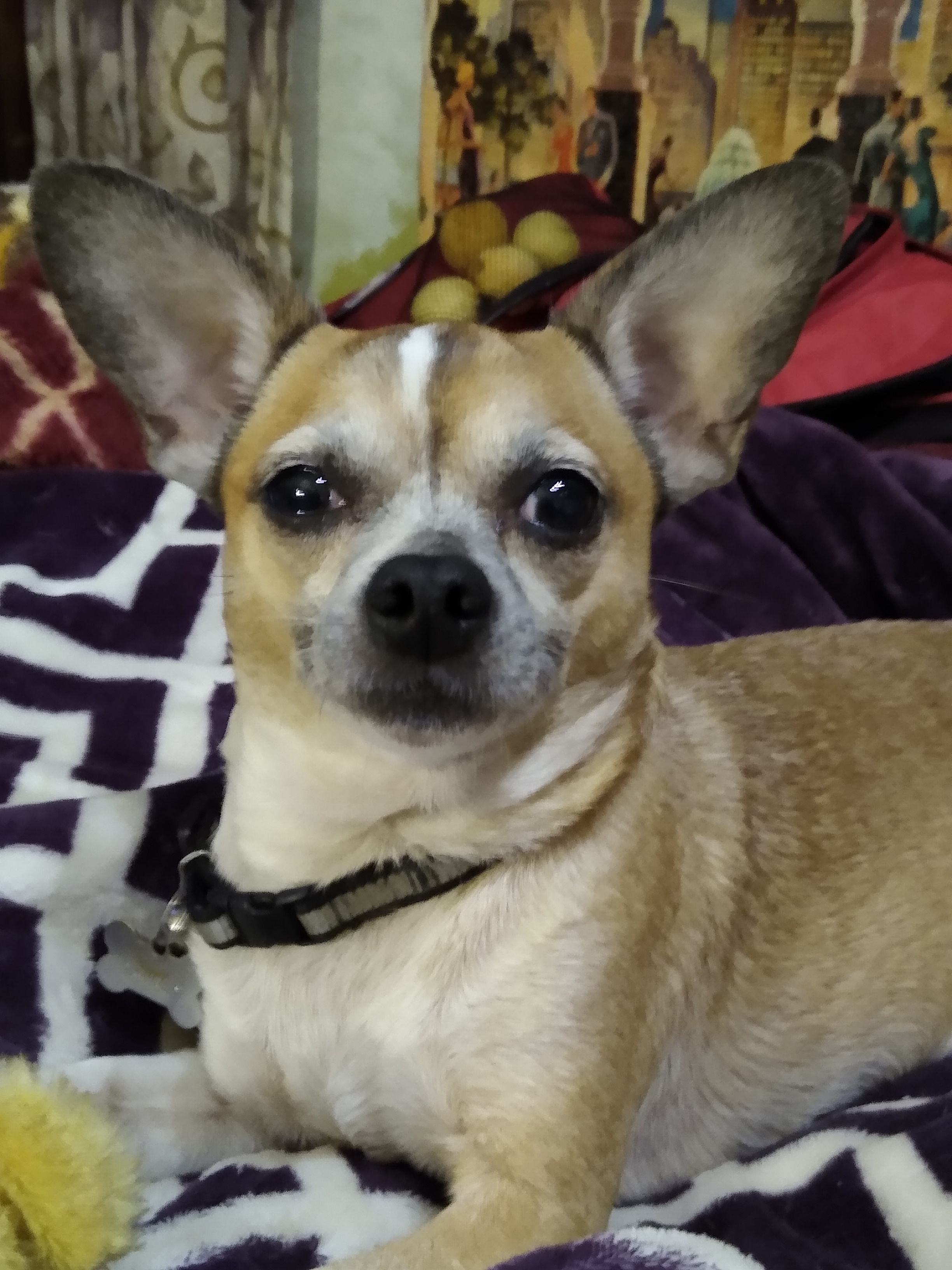 Max
