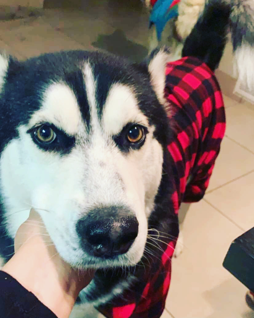 Kylo