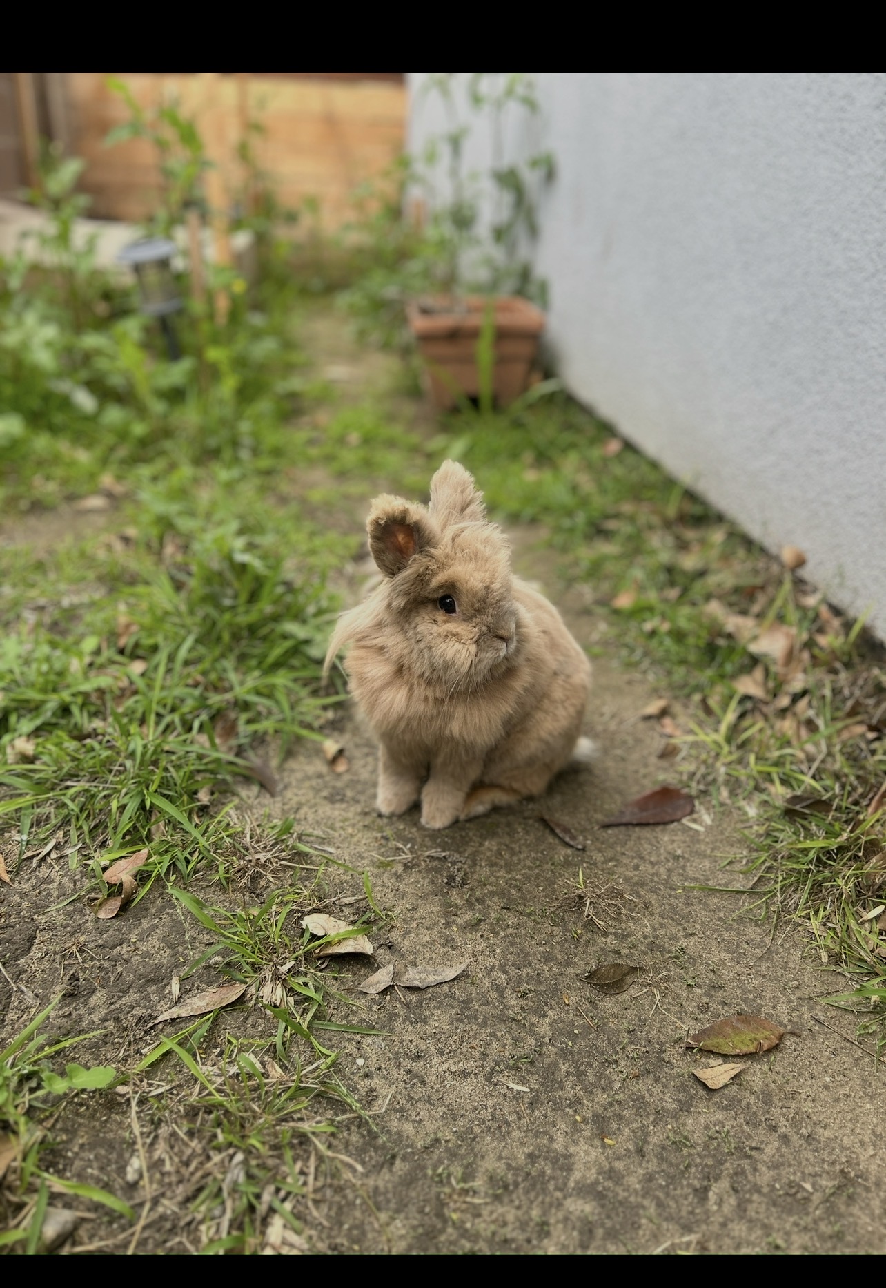 Benito