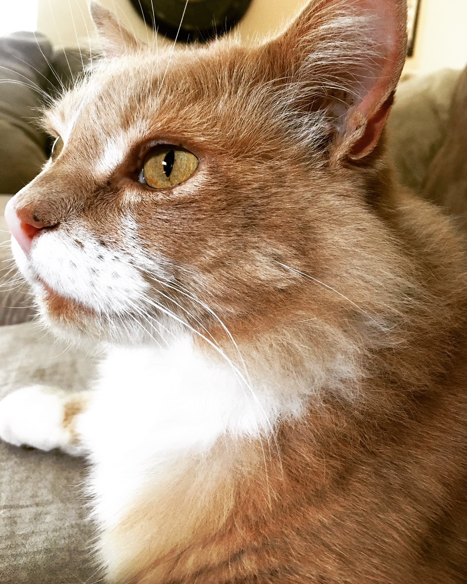 Rusty