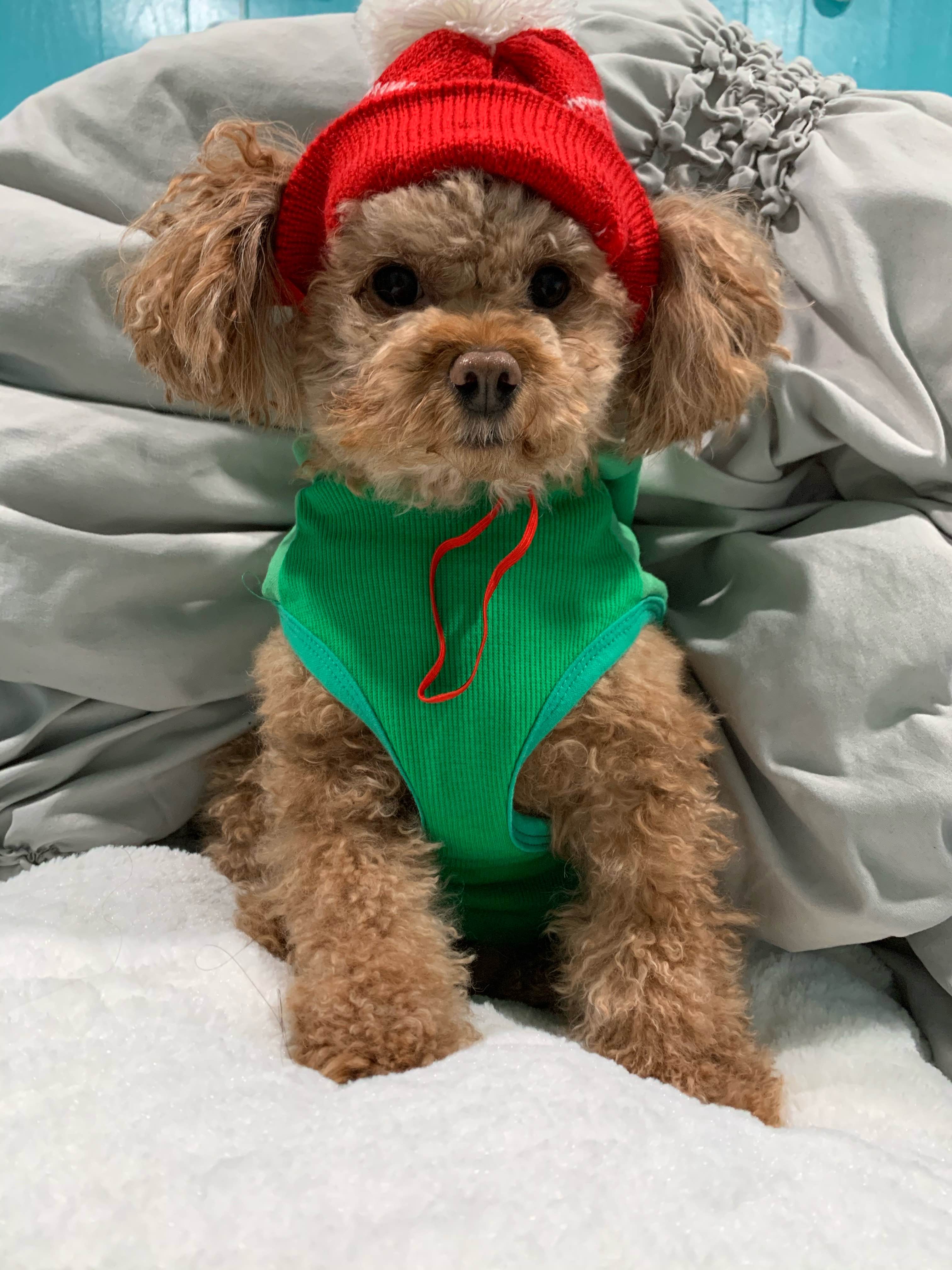 Minnie