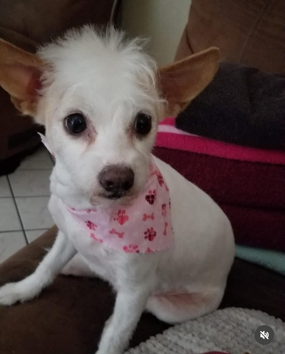 Lucy