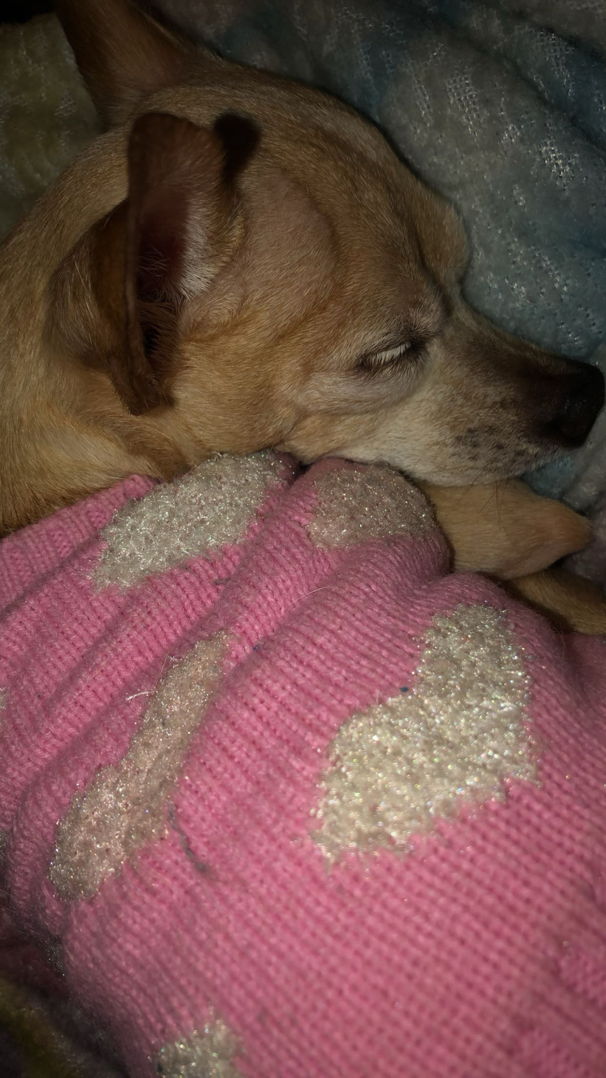 Princess