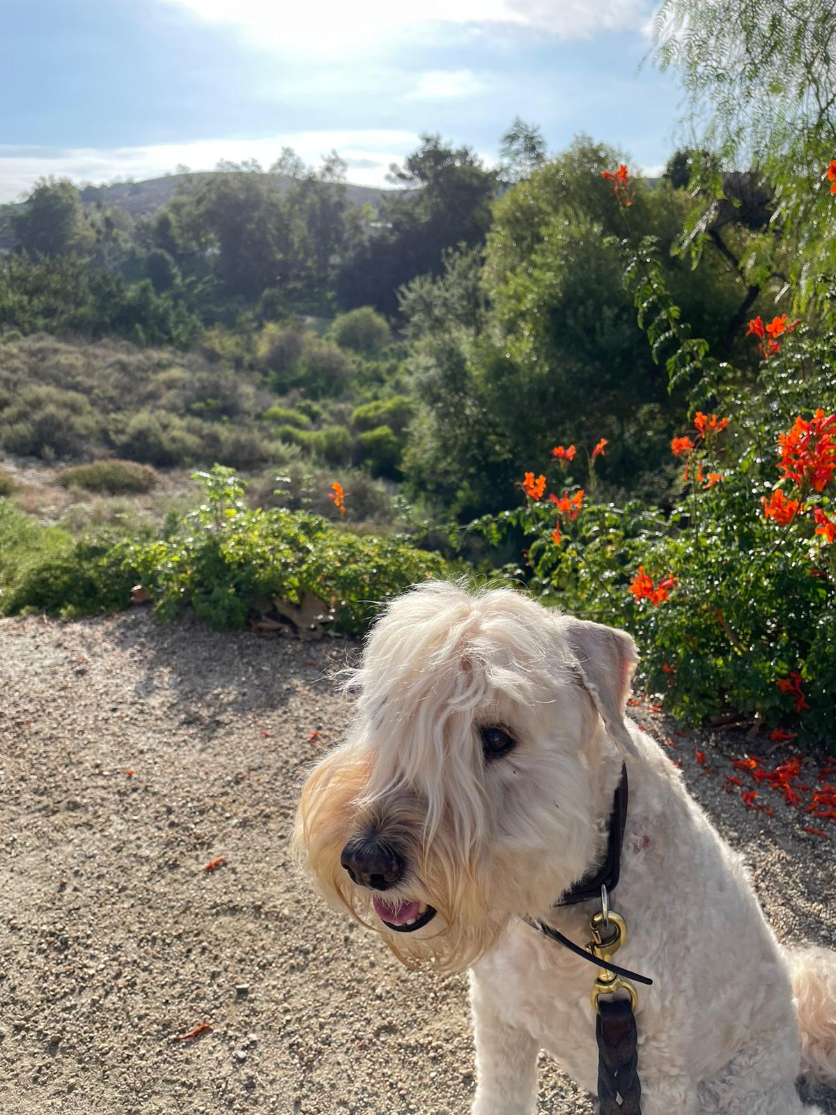 Jasper (2010-2023)