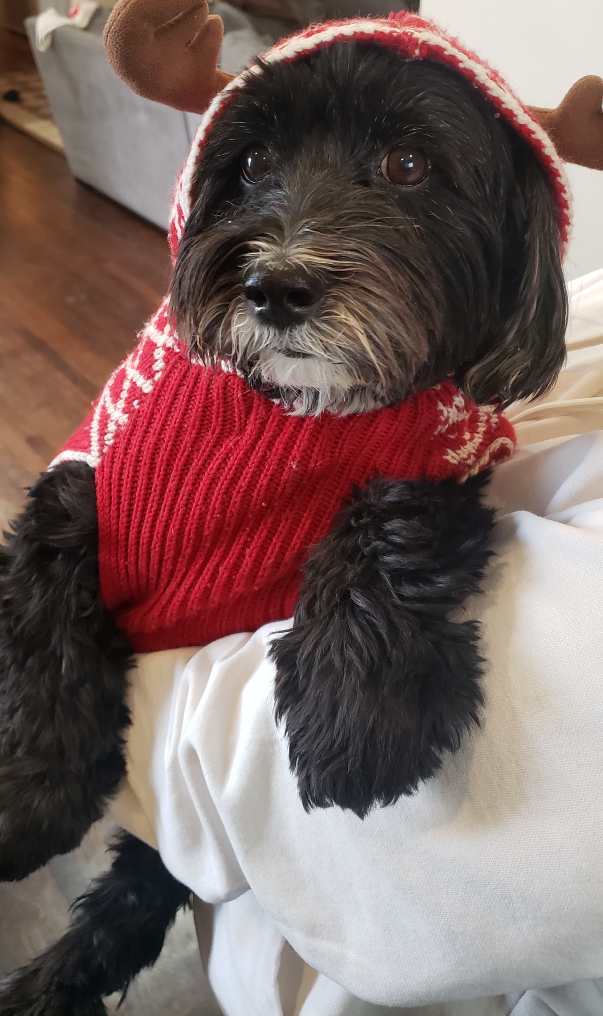 Pepper