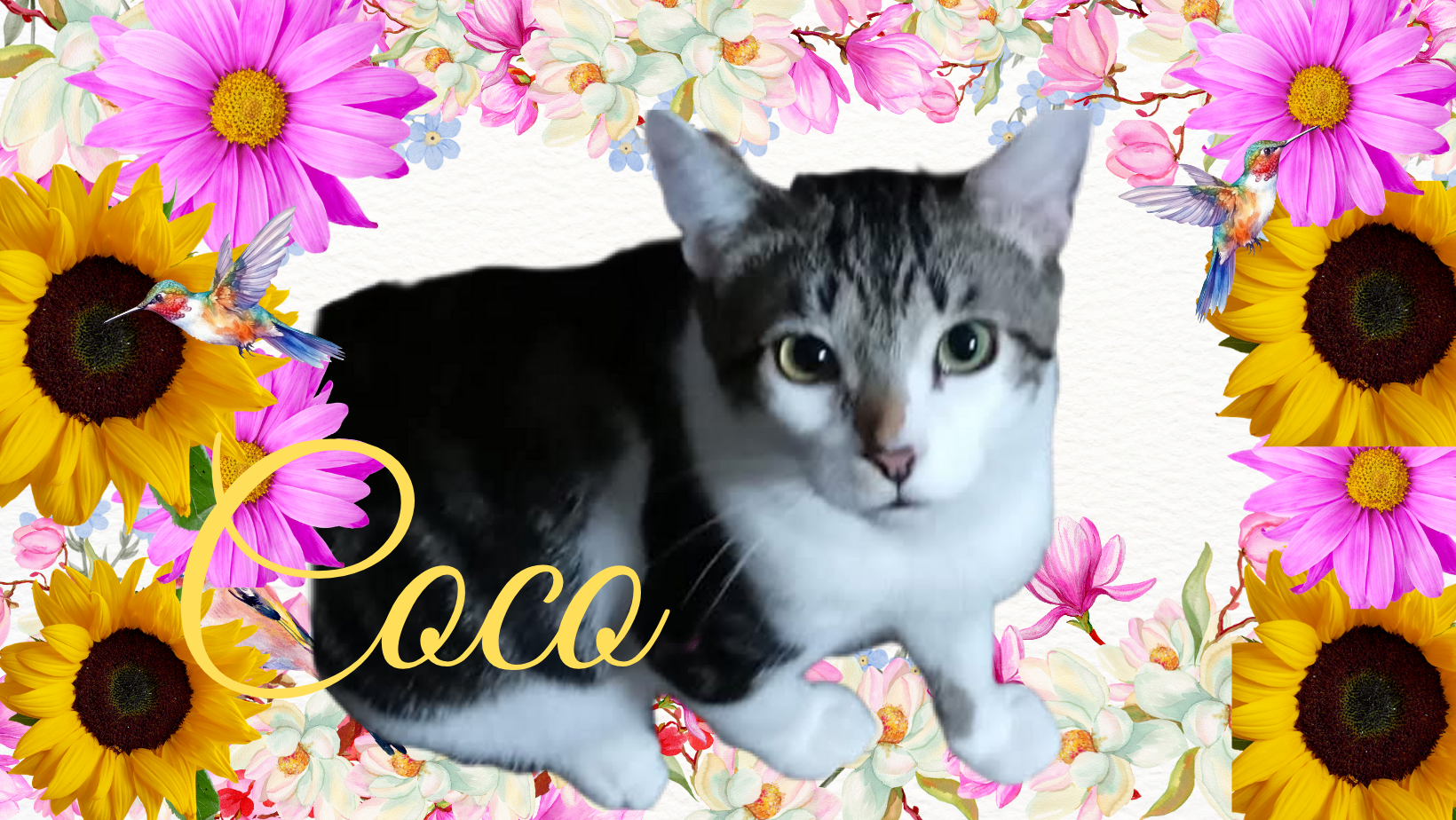 Coco