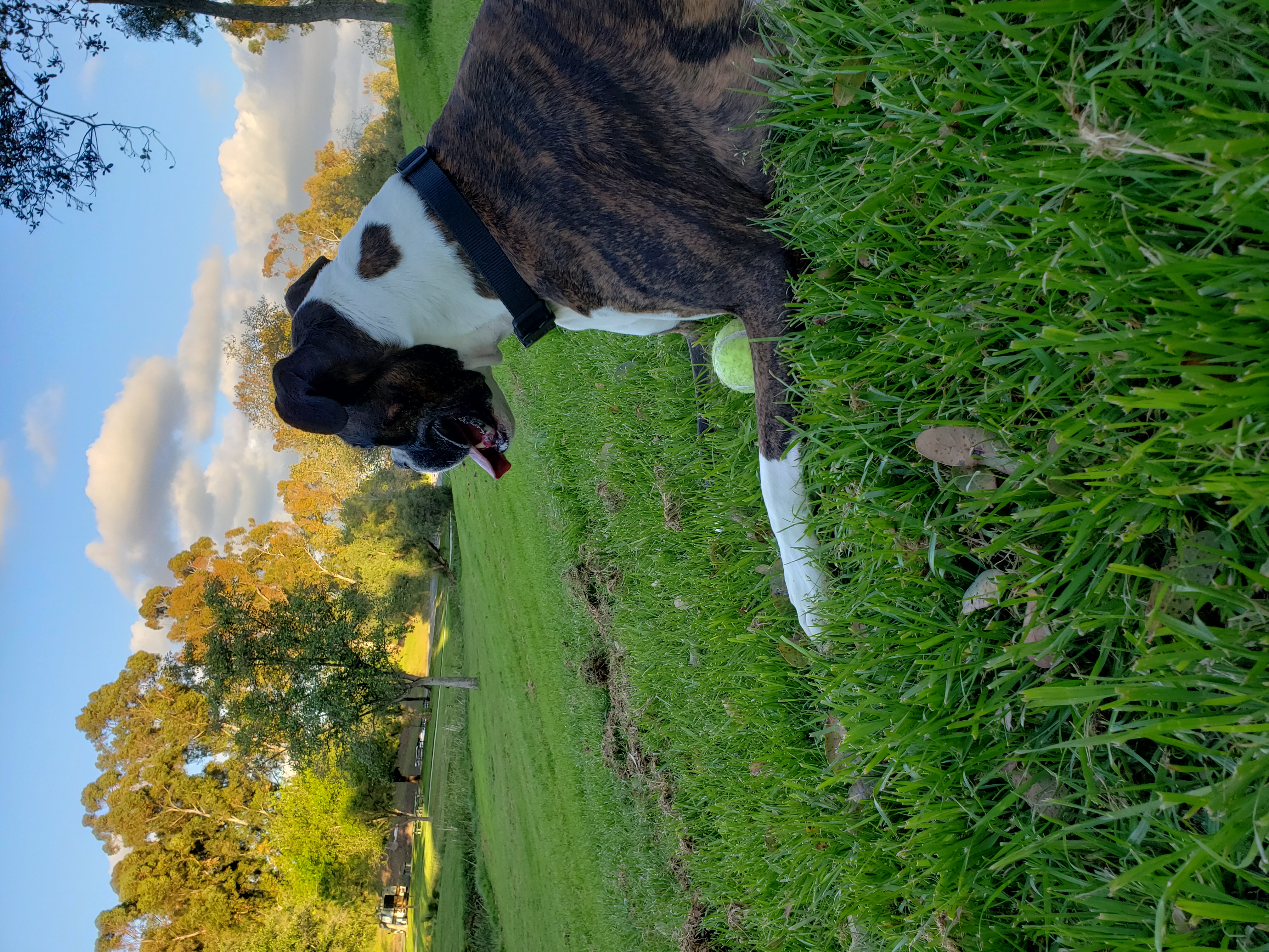 Charlie