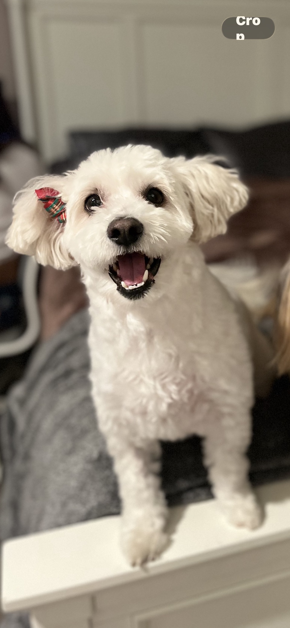 Sophie