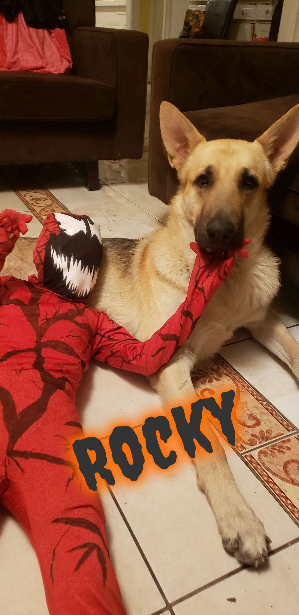 Rocky