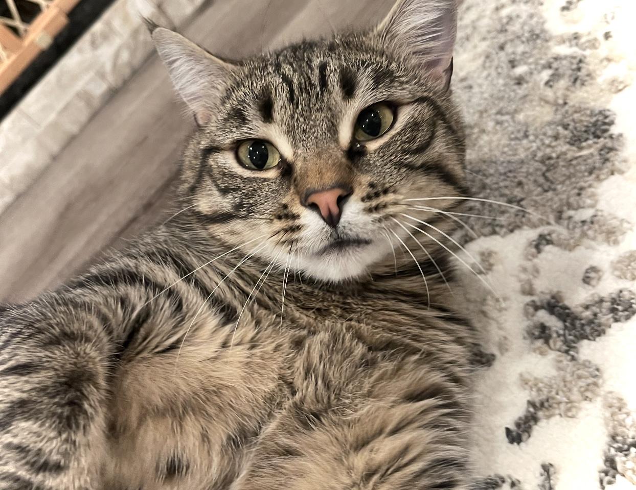 Rex