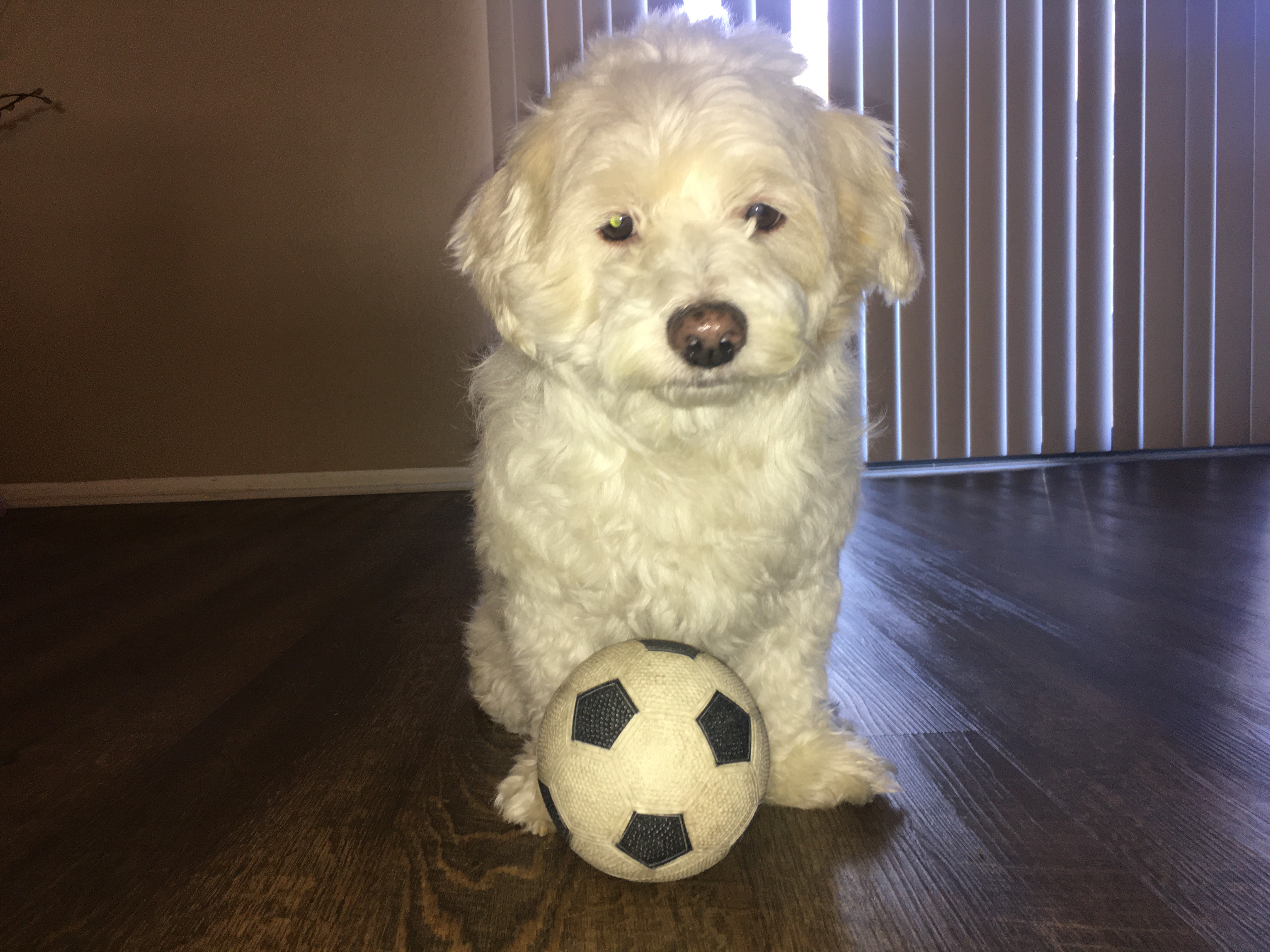 Charlie