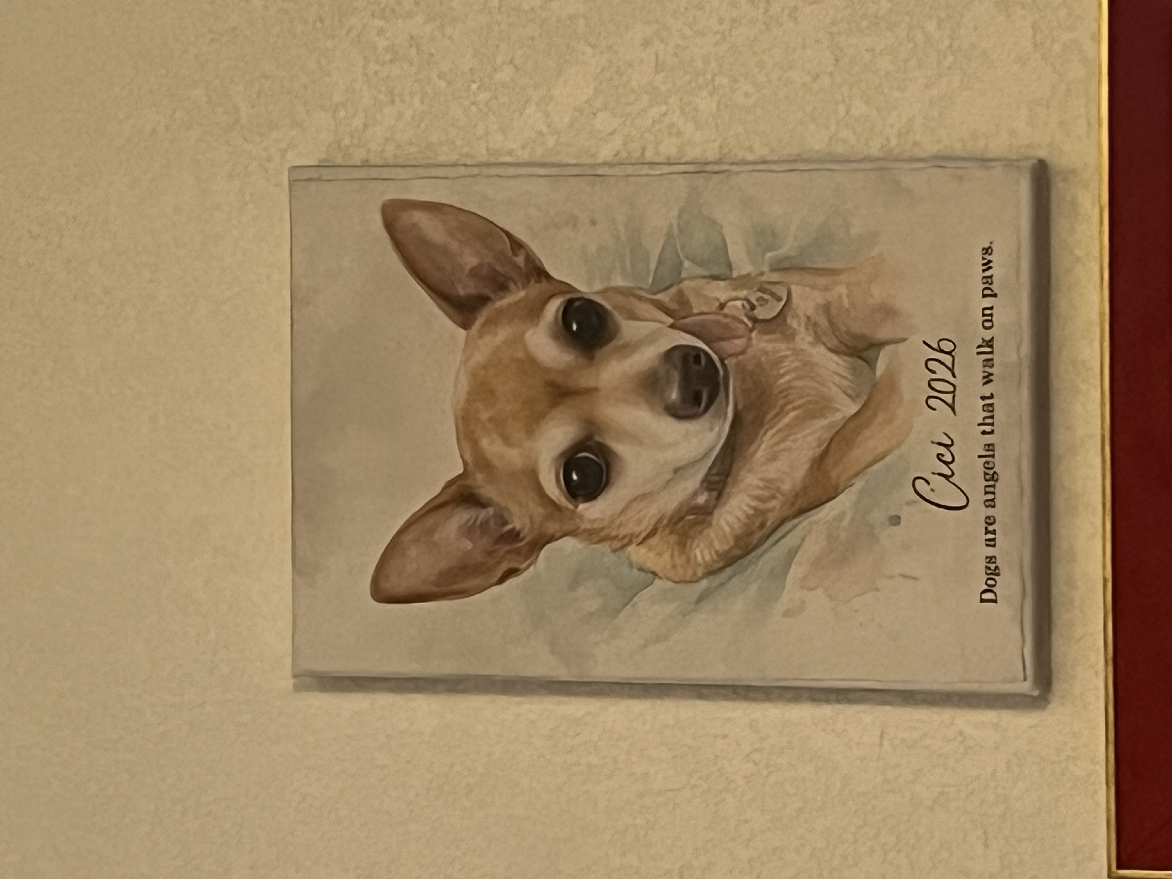 Cici