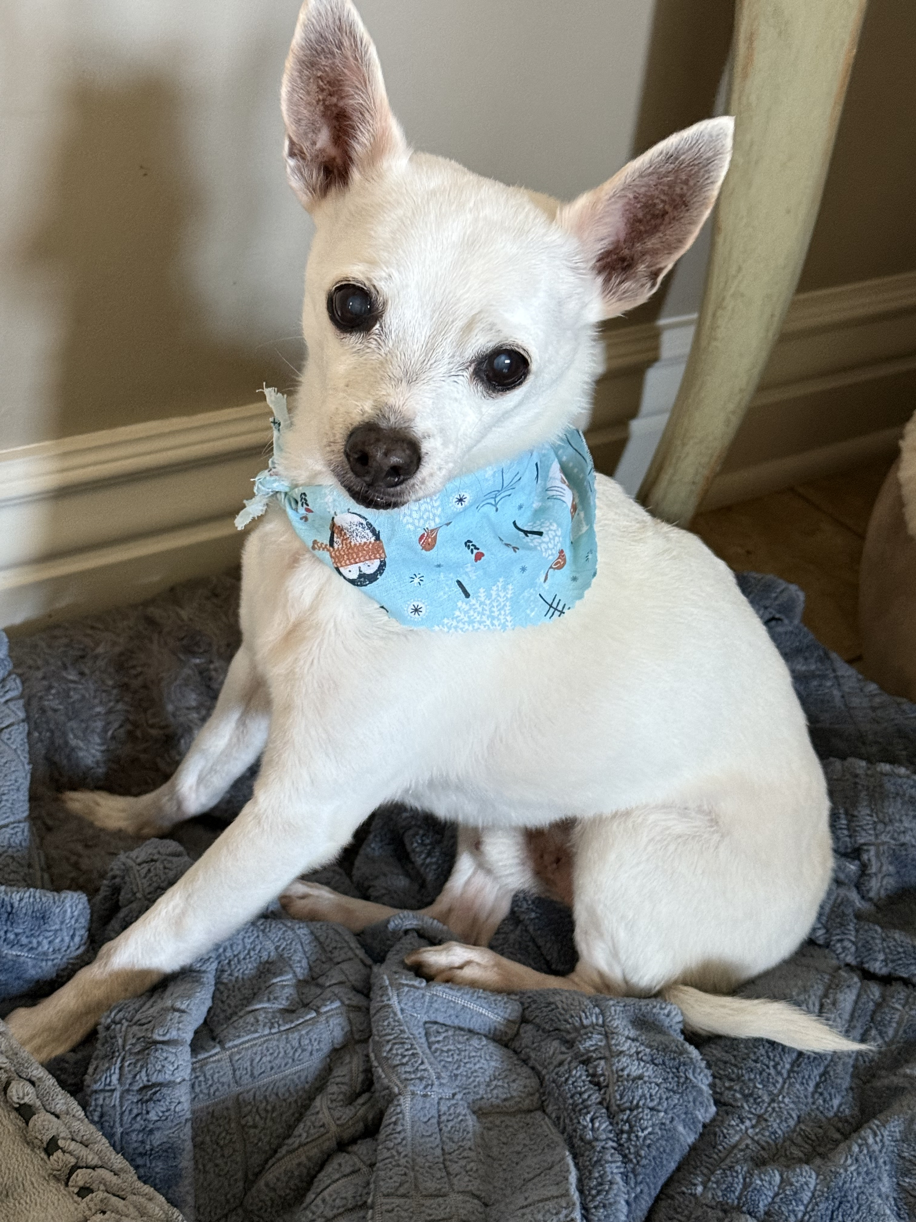 Coco