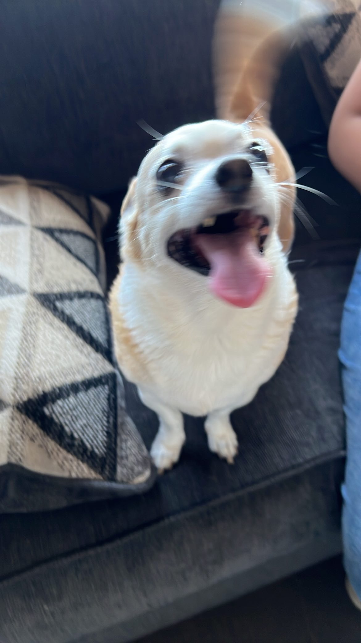 Maggie