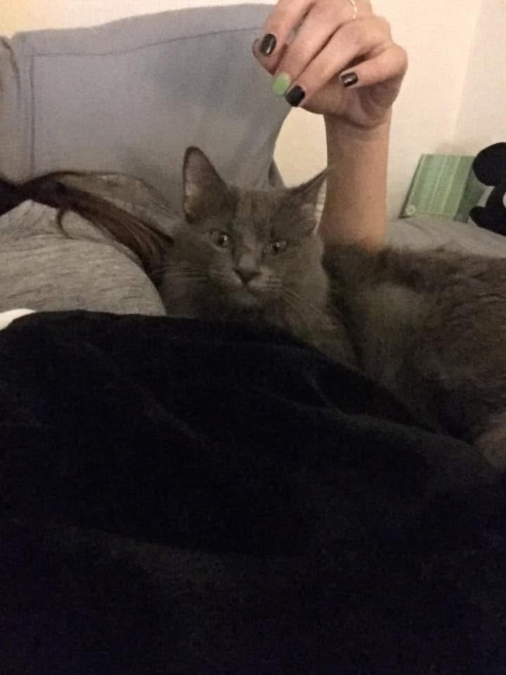 Luna