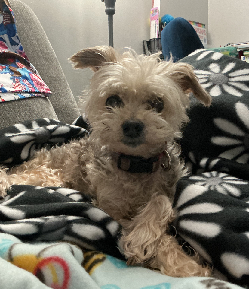 Sophie