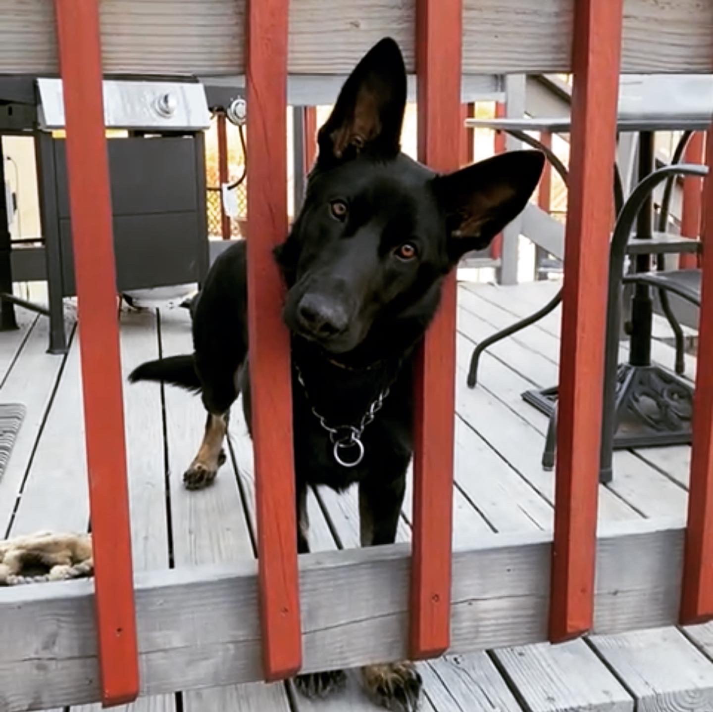 Kona G.