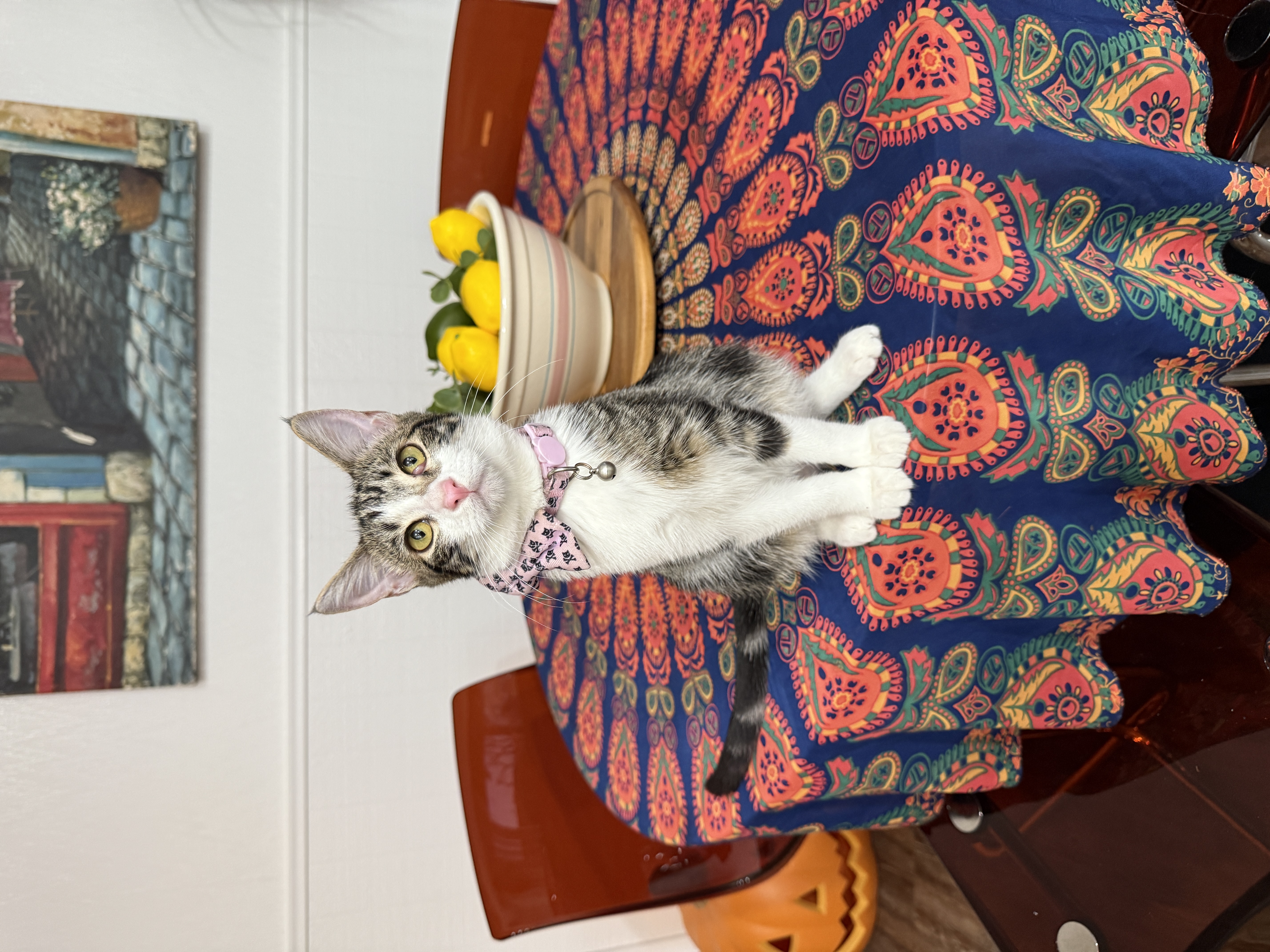 Roxanne Lunatic Storey 