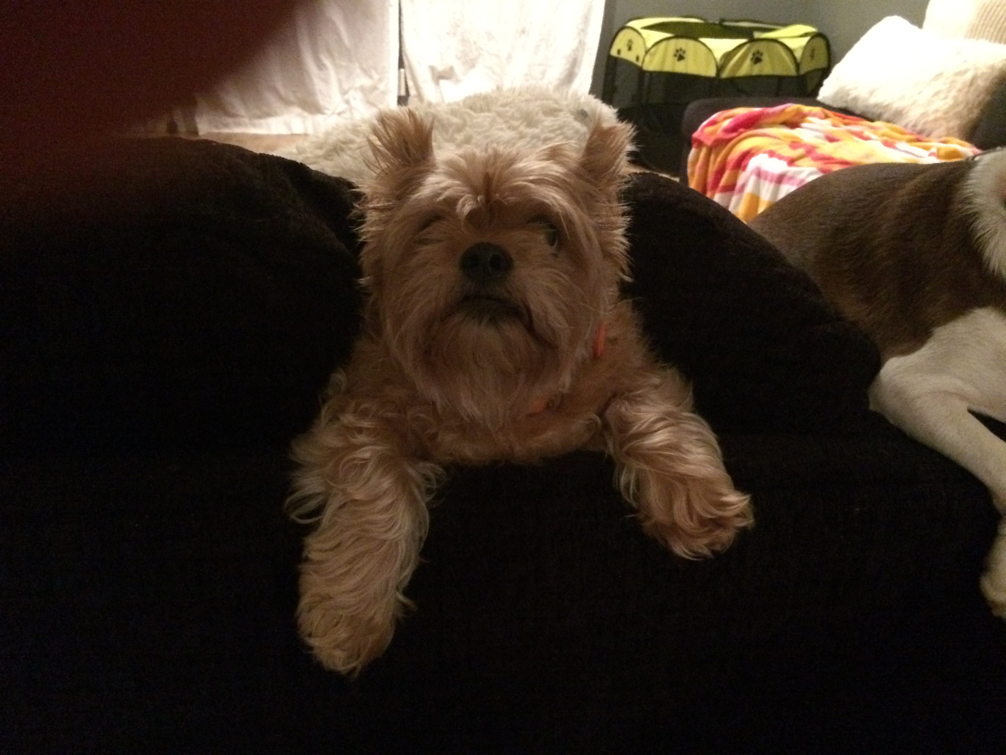 Betty