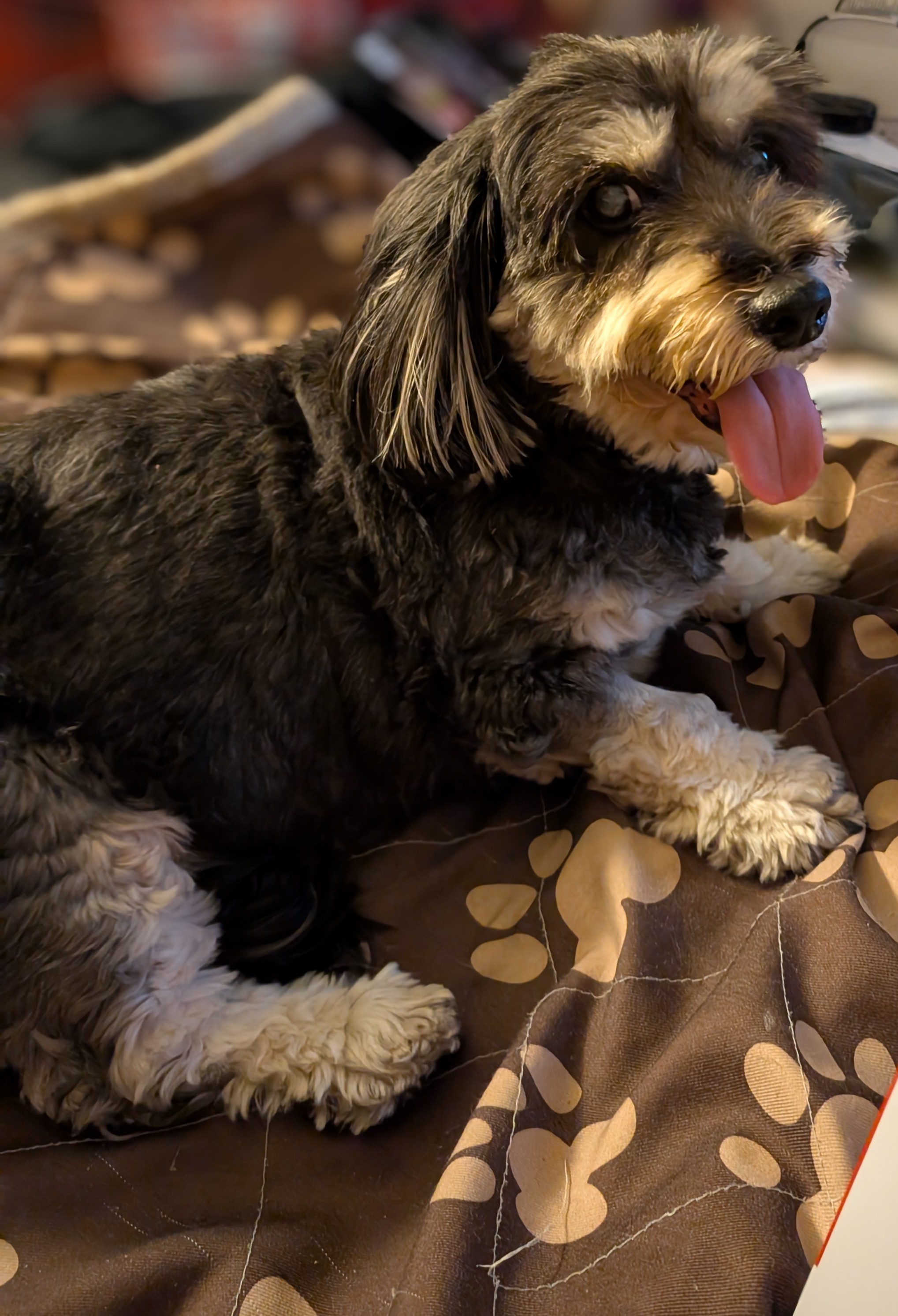 Sebastian