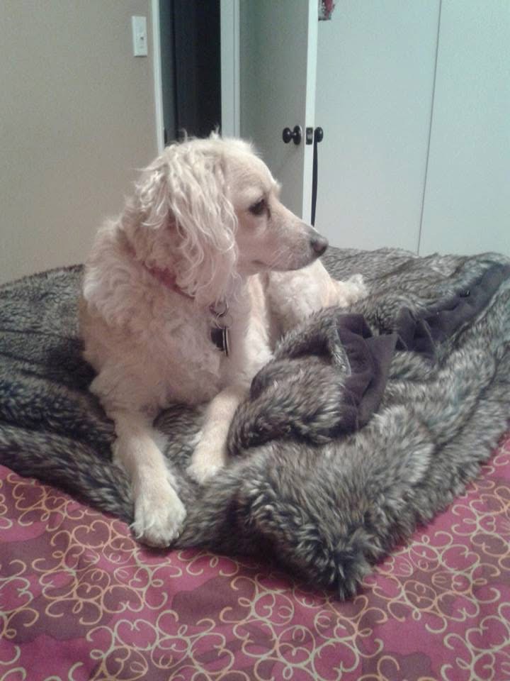 Lily