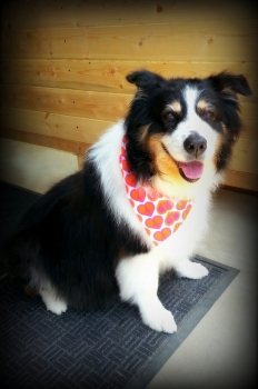 Lady Harley