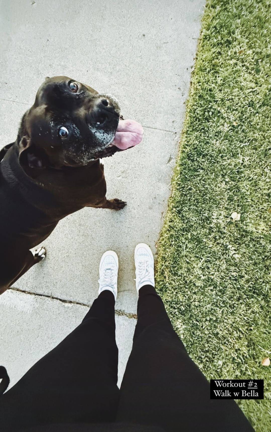 Bella