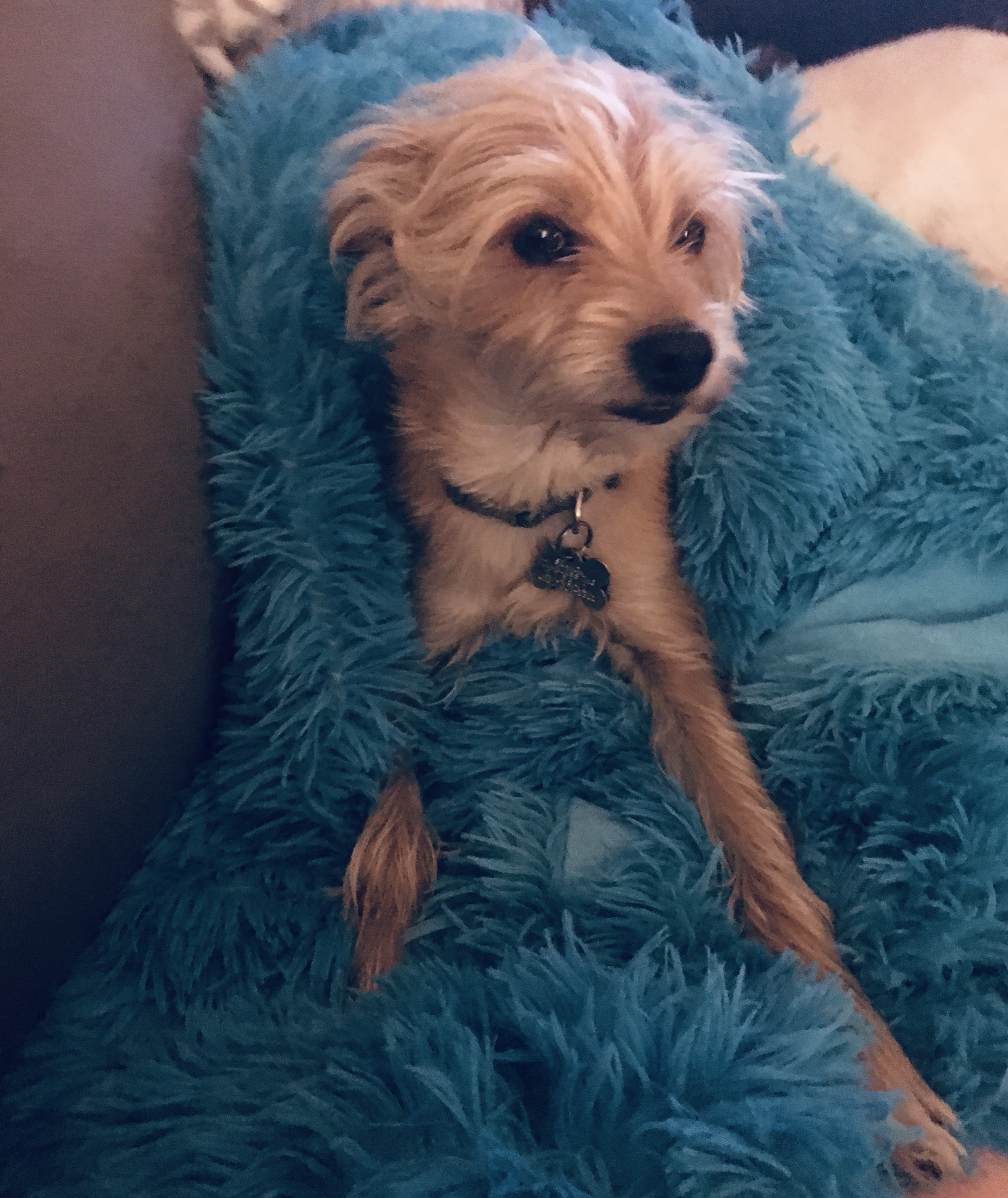 Quinn