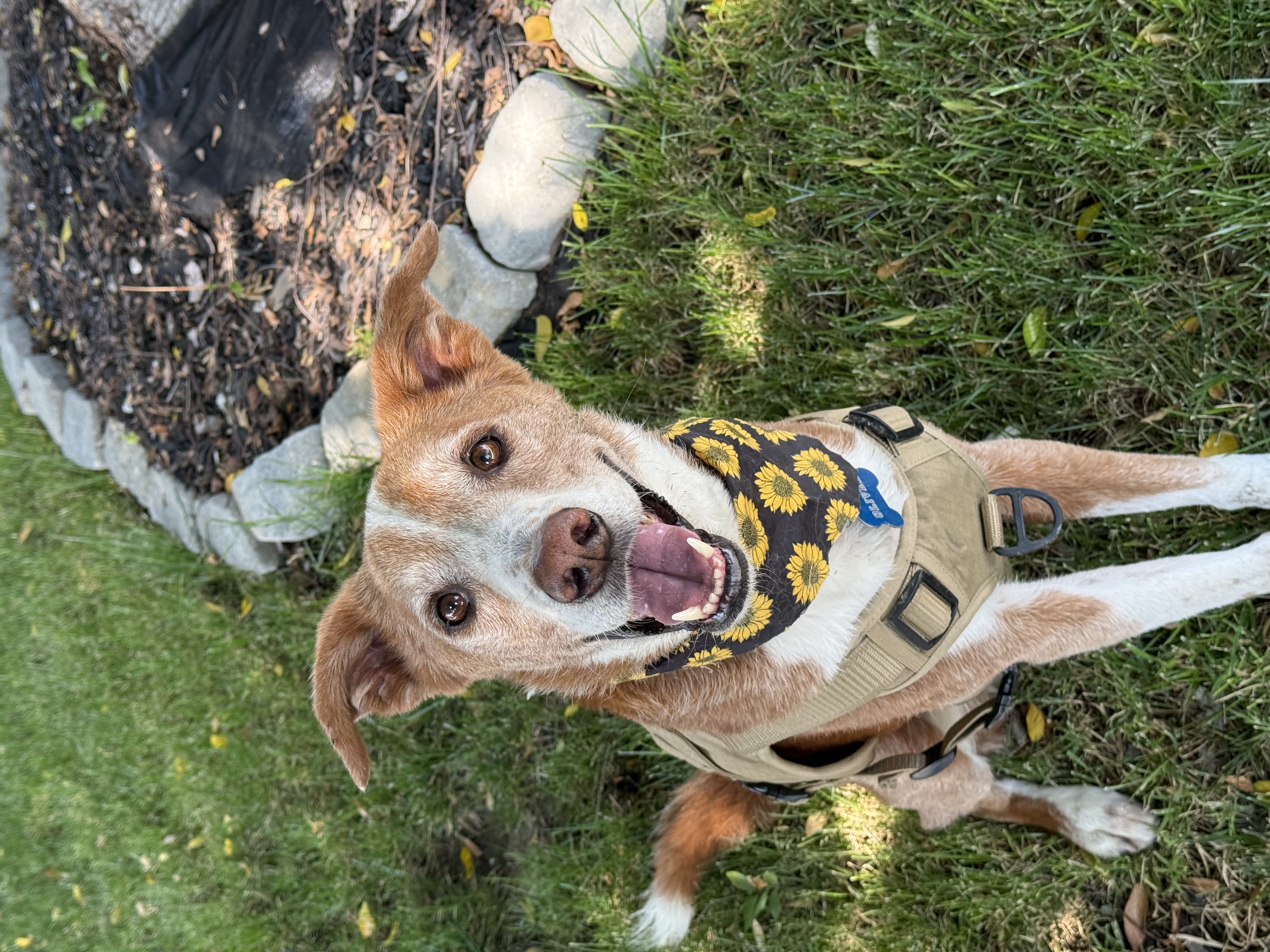 Our Sweet Boy Oliver Garcia 