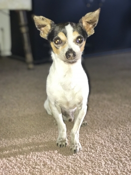 Max