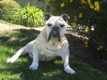 Daisy Ortega 8/14/96 -8/18/11