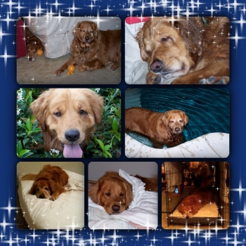 Murphy