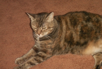 Abbey